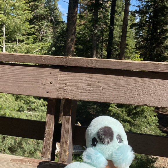 Meet Your Posher - Picture 3 of 8